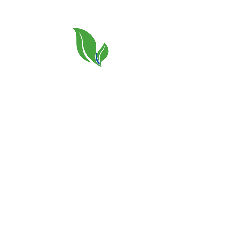 ElBISHBISHY Big Logo